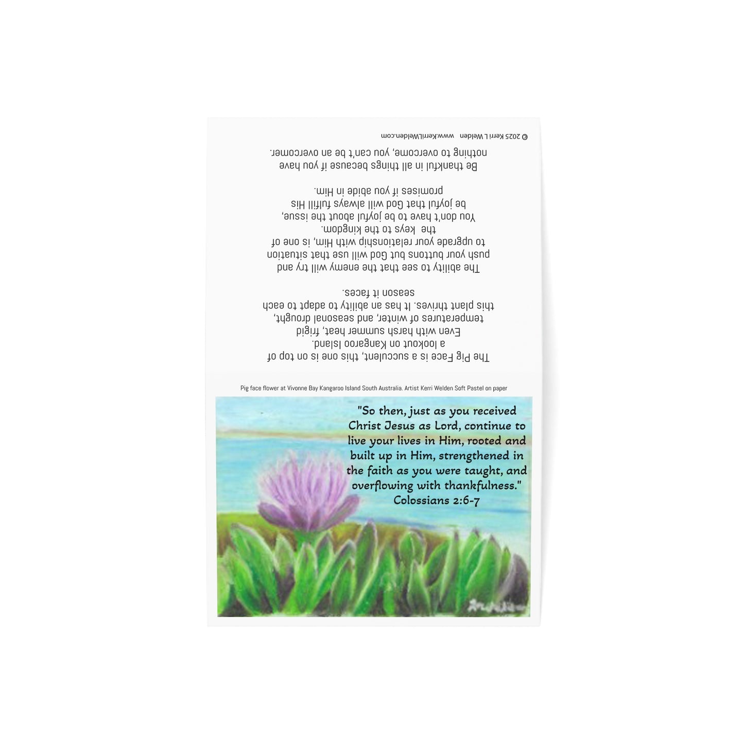 Pigs Face Kangaroo Island Colossians 2:6-7 Greeting Card