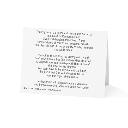 Pigs Face Kangaroo Island Colossians 2:6-7 Greeting Card