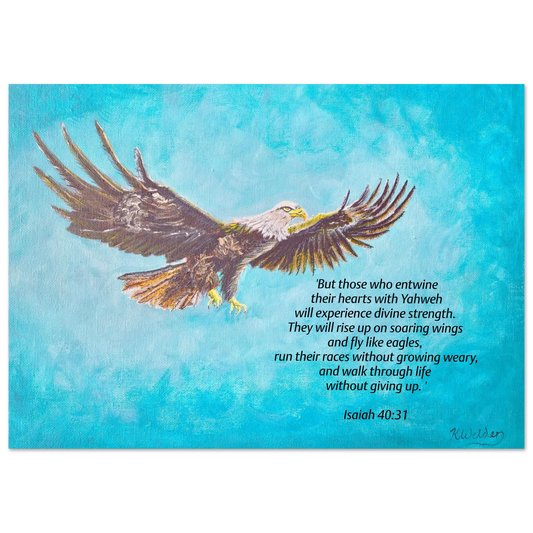 4dba0033-fc5e-4ff7-9984-51f13e5b6bba