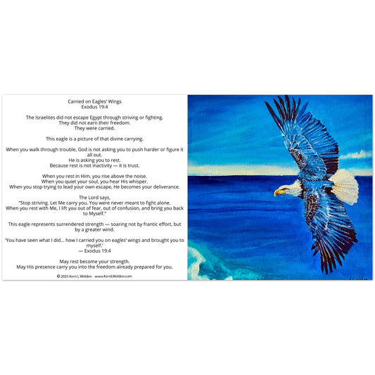 711fe2bc-2056-4e08-956c-5f47fc4ed94d