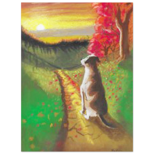 75a23553-8adc-46e9-917b-e13addcf1f3b