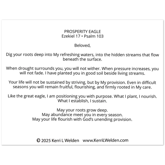 ace6f205-5de4-4882-97b5-2e0684da0488