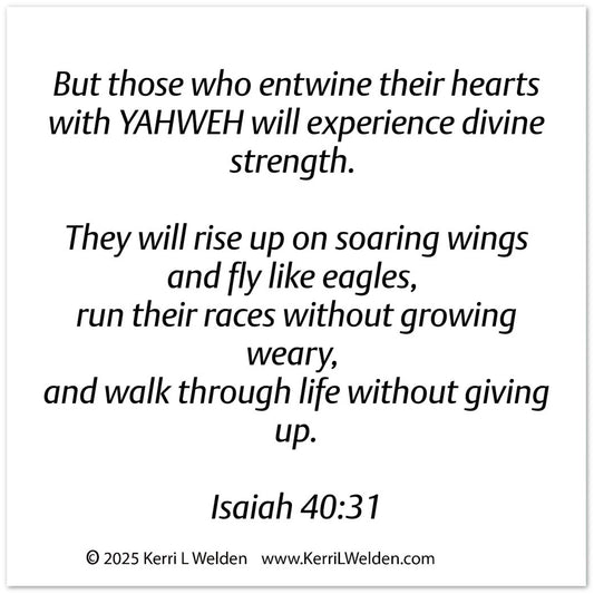 f52b9ee4-0943-482e-b0e3-6debdf86b076